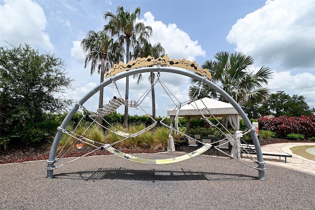 view of jungle gym