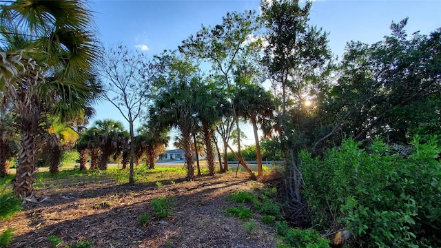 Listing photo 3 for 3512 Port Charlotte Blvd, Port Charlotte FL 33952