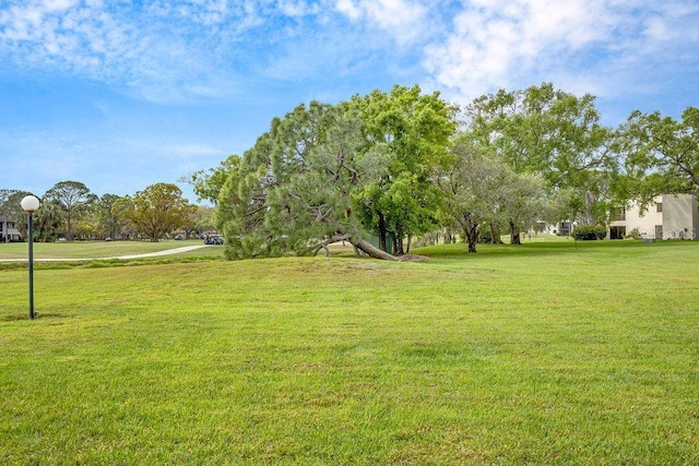 view of yard