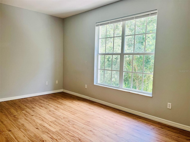 empty room featuring a healthy amount of sunlight and light hardwood / wood-style floors