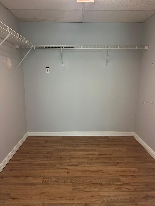 walk in closet featuring a drop ceiling and hardwood / wood-style floors