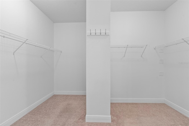 walk in closet featuring light carpet