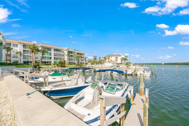 dock area with a water view