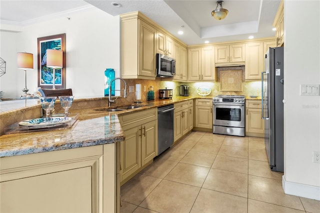 kitchen featuring high end appliances, tasteful backsplash, sink, and a tray ceiling