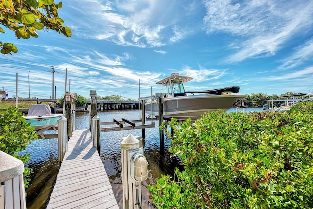 dock area with a water view