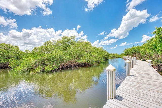 dock area with a water view