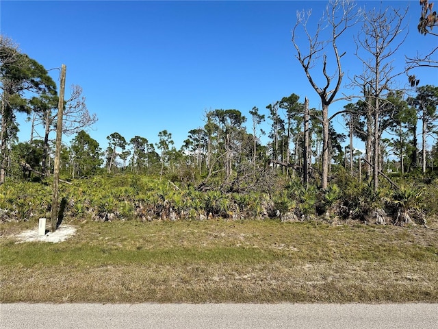 Listing photo 3 for 49 Masthead Rd, Placida FL 33946