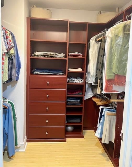 spacious closet with light wood-type flooring