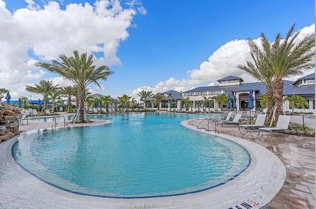 view of swimming pool featuring a patio