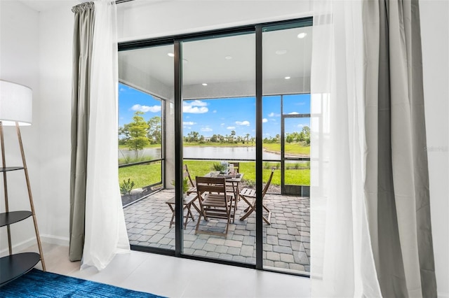 entryway featuring a wealth of natural light