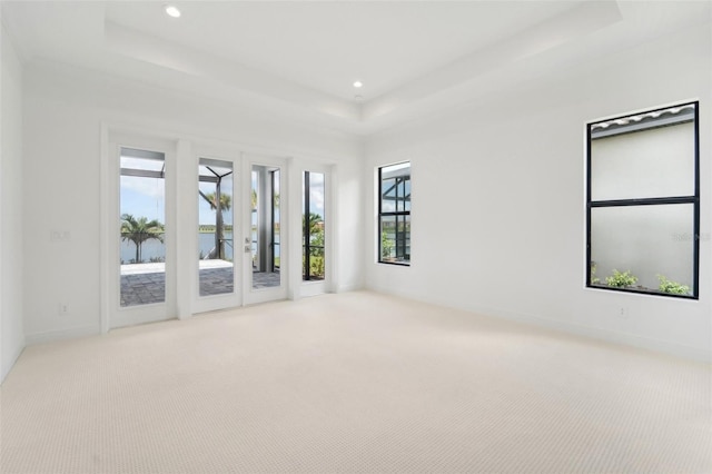 carpeted spare room featuring a raised ceiling