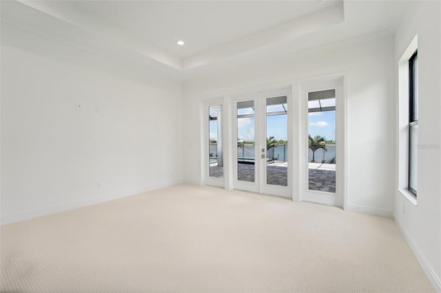 carpeted empty room featuring a raised ceiling and a healthy amount of sunlight