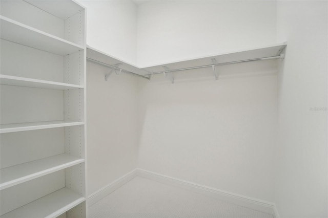 spacious closet featuring carpet floors