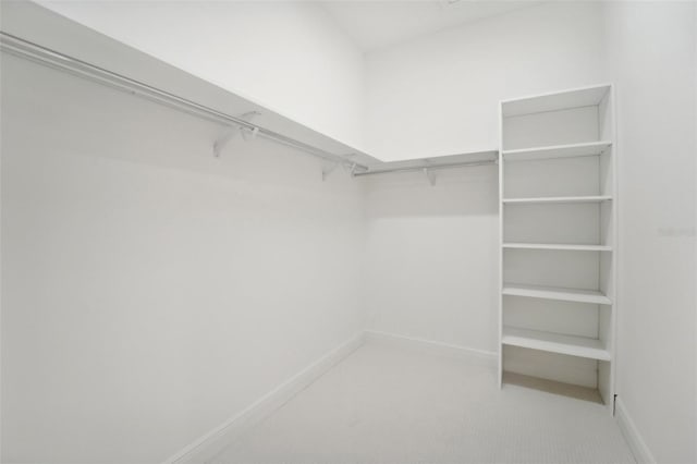 spacious closet featuring carpet