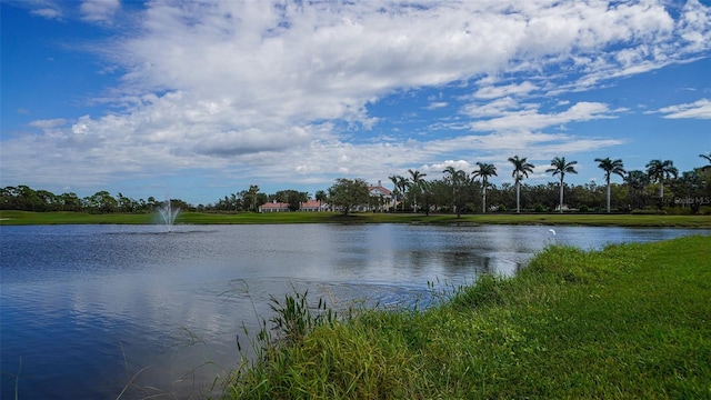 401 N Point Rd Unit 301, Osprey, FL 34229 - view of water view