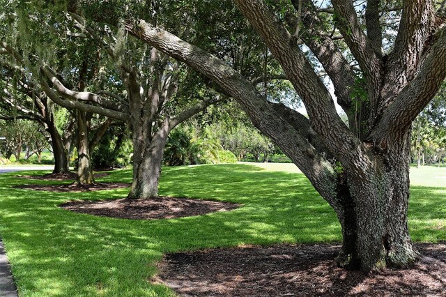 401 N Point Rd Unit 301, Osprey, FL 34229 - surrounding community featuring a lawn