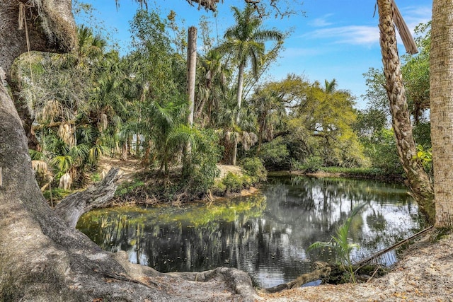 property view of water with a view of trees