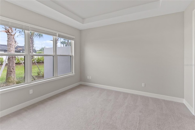 unfurnished room featuring light carpet and a tray ceiling