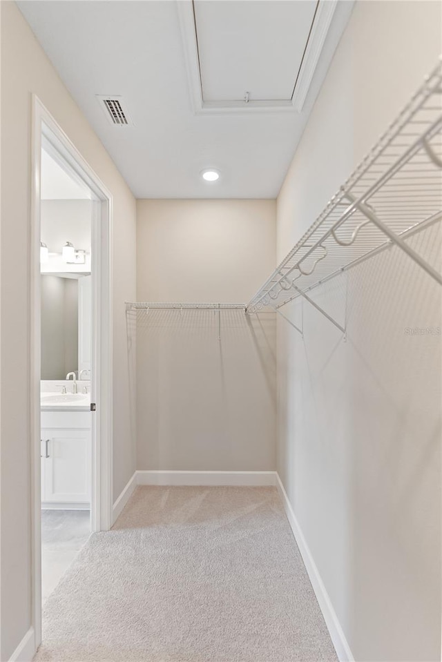 spacious closet featuring light carpet and sink