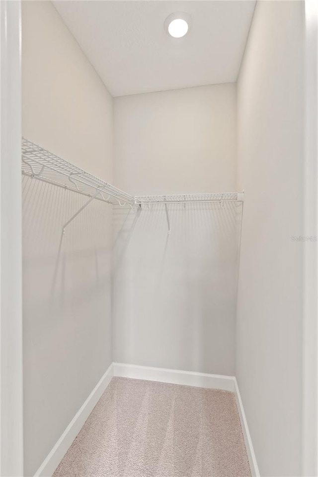 spacious closet with carpet floors