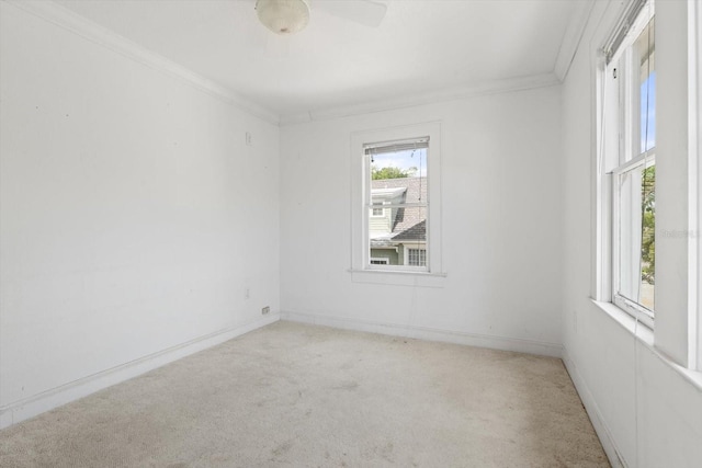 unfurnished room featuring ceiling fan, ornamental molding, and light carpet