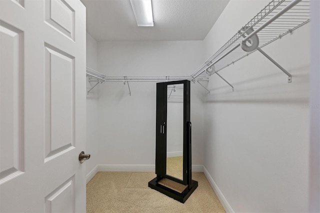 walk in closet with light carpet