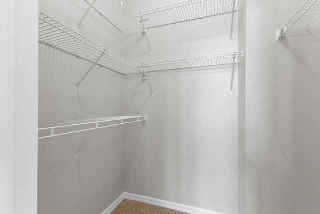 view of walk in closet