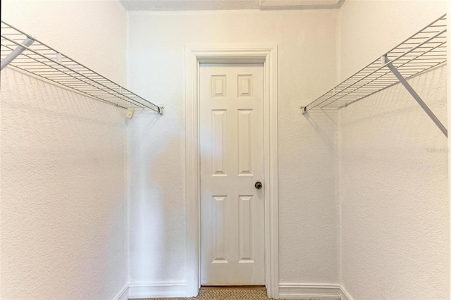 view of walk in closet