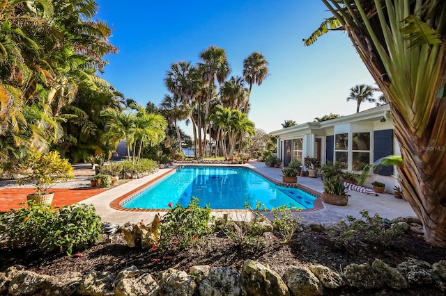 view of pool with a patio