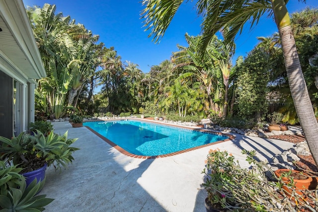 view of swimming pool featuring a patio