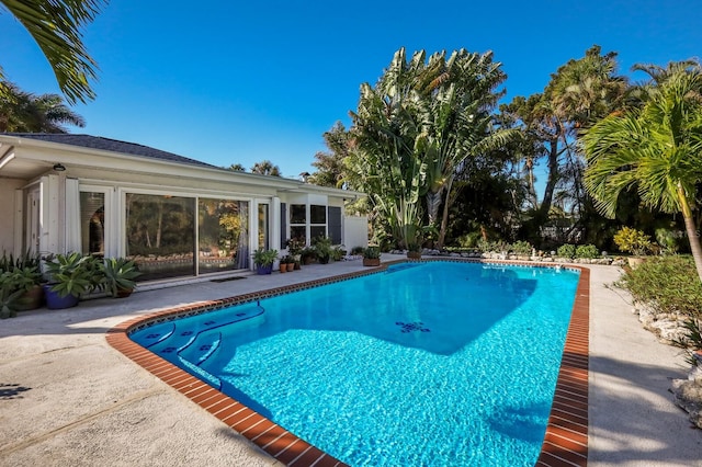 view of pool featuring a patio area