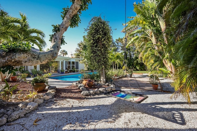 view of swimming pool featuring a patio area