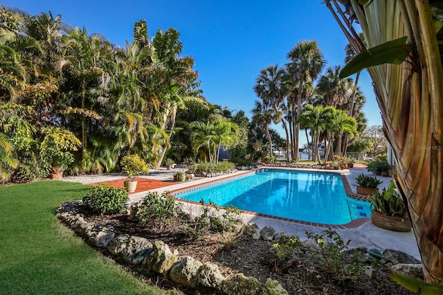 view of pool with a yard and a patio area