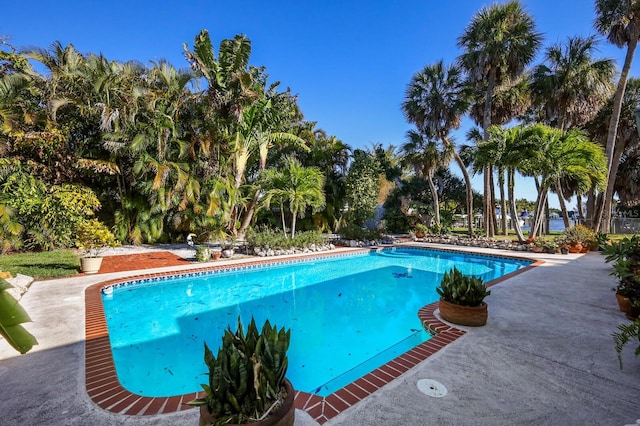 view of swimming pool with a patio