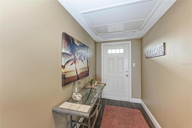 entryway featuring dark hardwood / wood-style floors