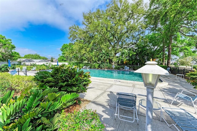 view of swimming pool with a patio area