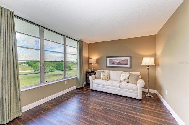 living room with dark wood-type flooring