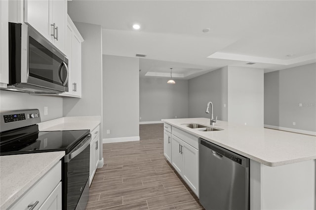 kitchen featuring light hardwood / wood-style flooring, white cabinetry, appliances with stainless steel finishes, a tray ceiling, and sink