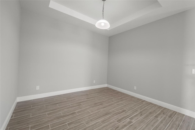 spare room featuring a raised ceiling and light hardwood / wood-style floors