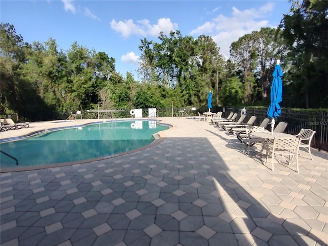 view of pool with a patio