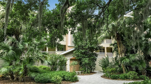 view of property hidden behind natural elements