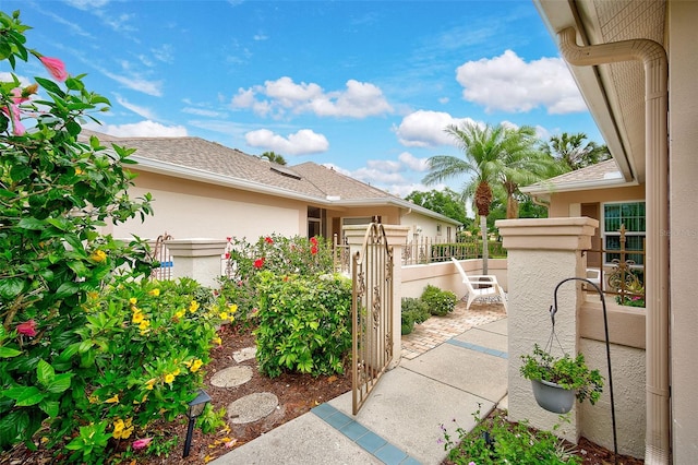 view of yard with a patio area