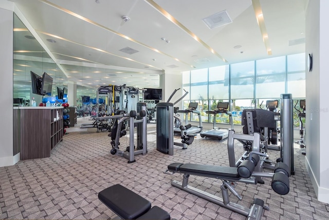 exercise room featuring a wall of windows and light carpet