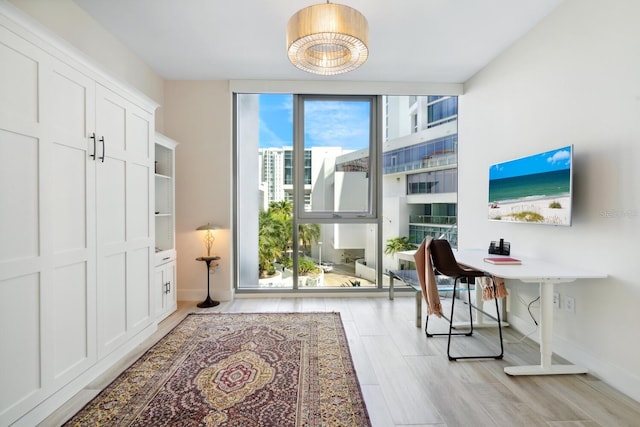 home office featuring light hardwood / wood-style flooring