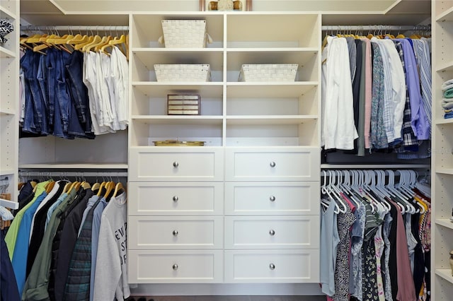 view of spacious closet