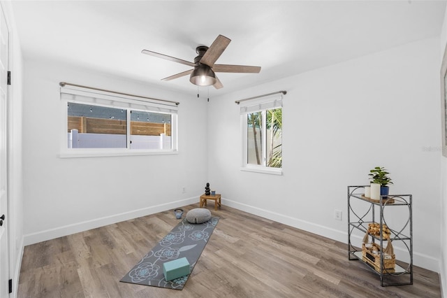 living area featuring ceiling fan and light hardwood / wood-style flooring