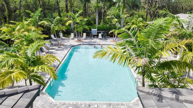 view of pool featuring a patio area