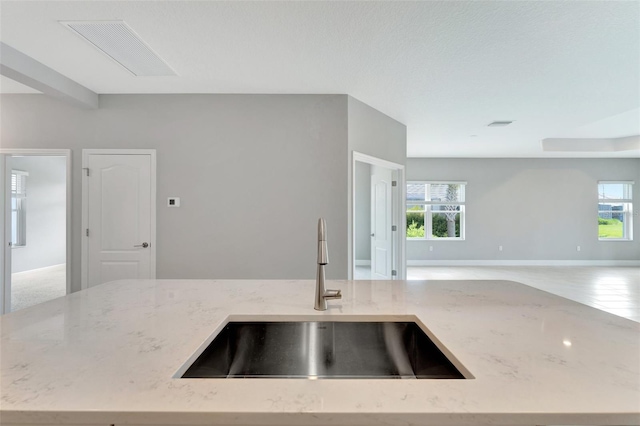 kitchen with light stone counters, sink, and a kitchen island with sink