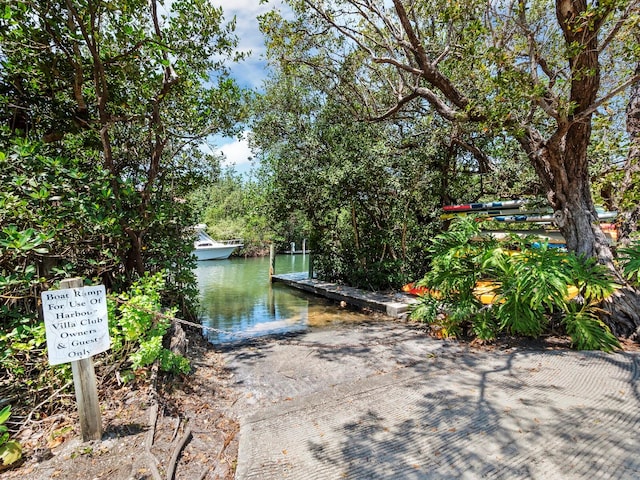 dock area with a water view