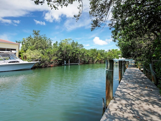 dock area featuring a water view